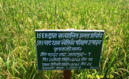 agricultural extension program.jpg